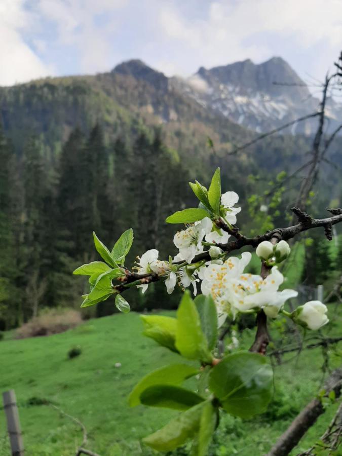 Akogelblick Holiday home Landl (Styria)